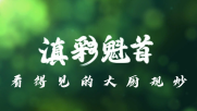 滇彩魅音案例